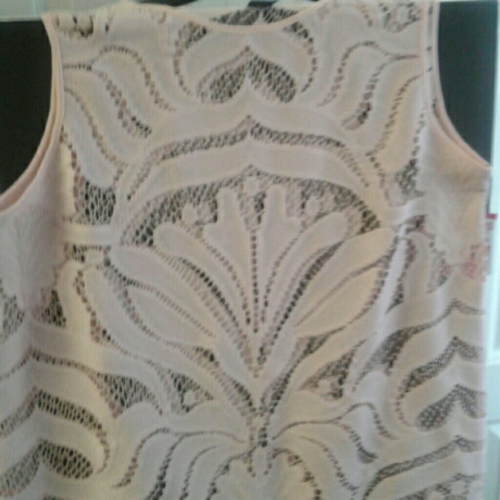 Shell - Picture 1 of 4